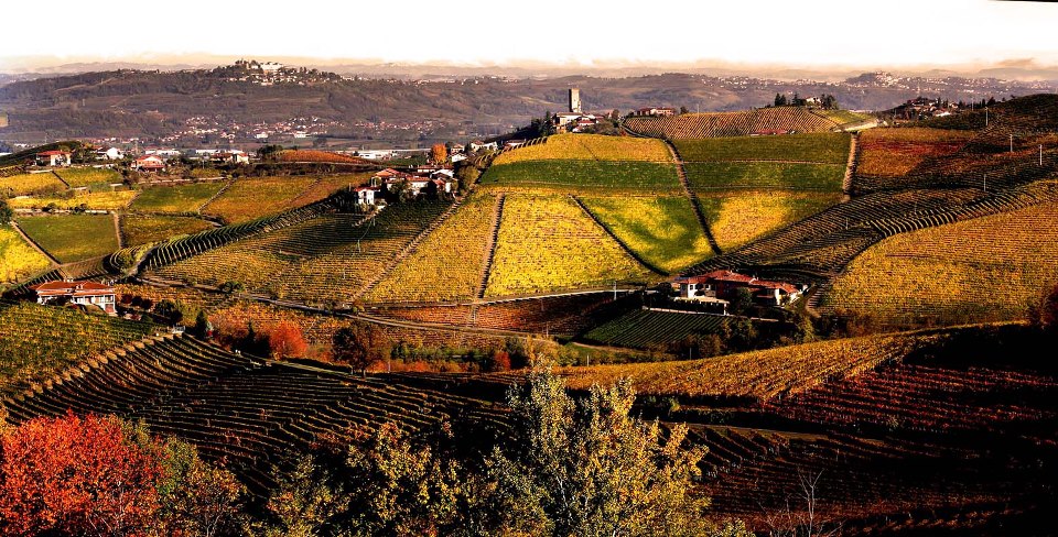 Until 25% less production in Piedmont due to extremely hot months Until 25% less production in Piedmont due to extremely hot months