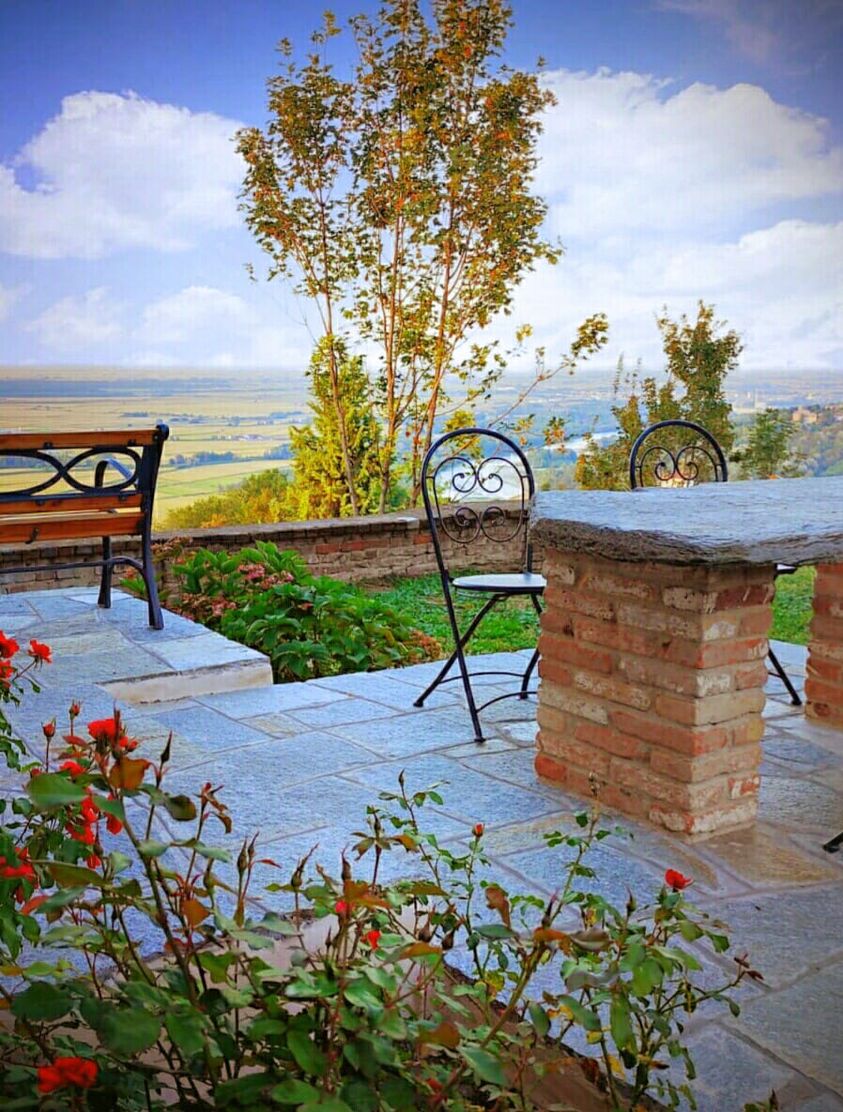 Crisis in the Piedmont wine sector? Blame the cooperative cellars!