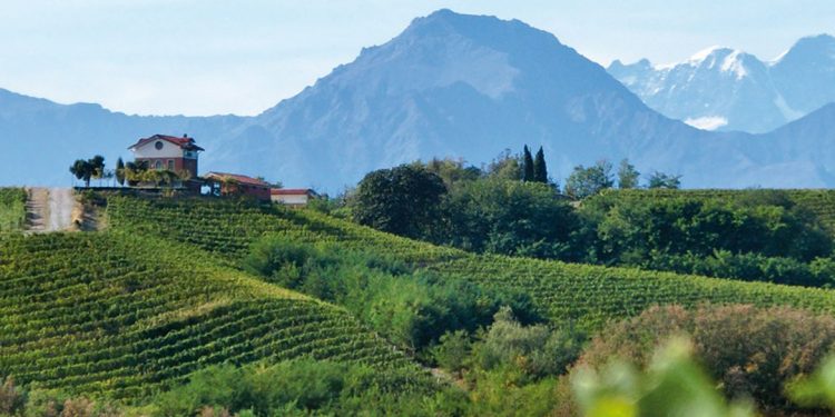 Conterno overname Nervi: bevestiging van Alto Piemonte als kwalitatief Nebbiolo terroir