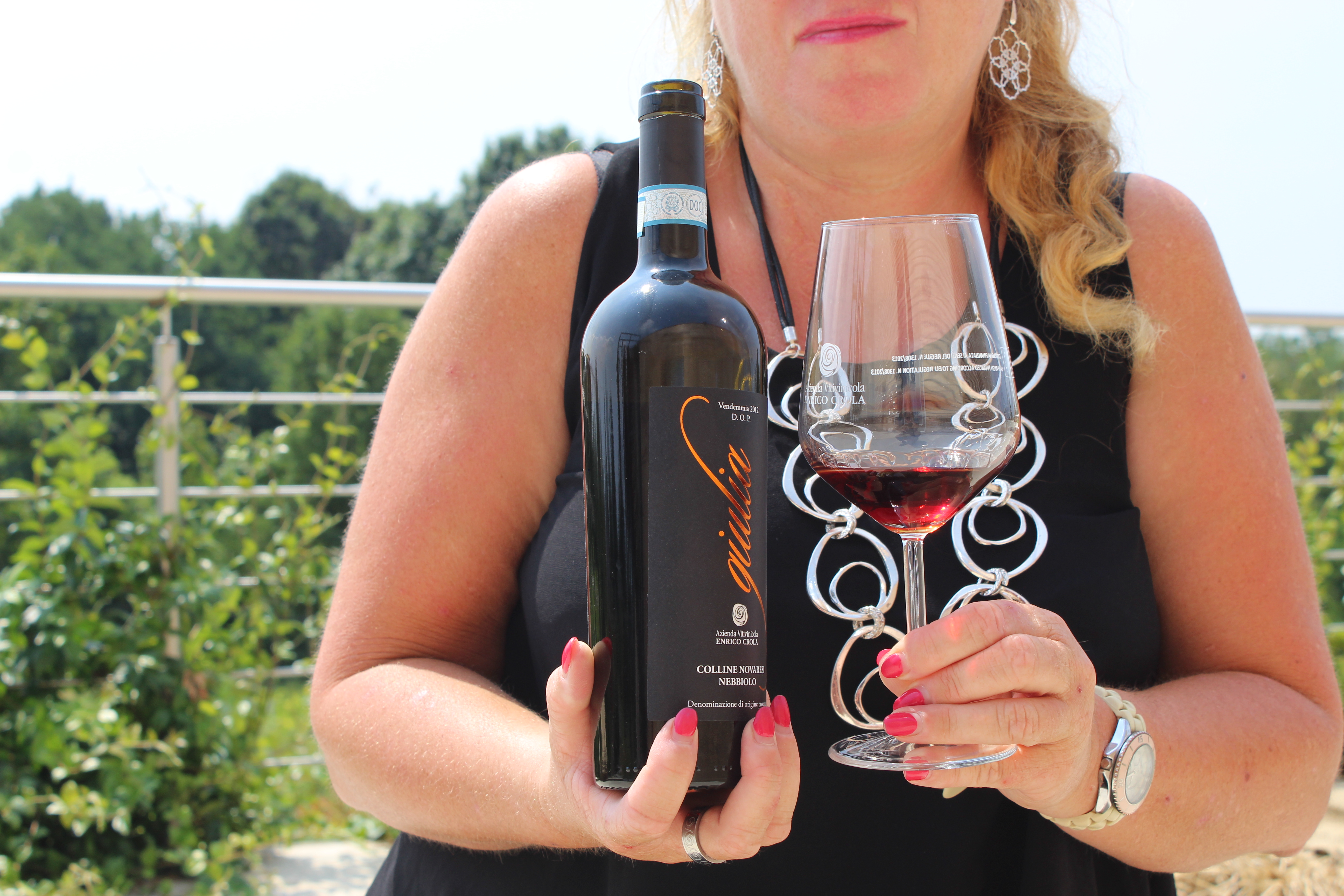Alto Piemonte Wijnen - Ontdek de Nebbiolo uit de Colline Novarese & Co Alto Piemonte Wijnen - Ontdek de Nebbiolo uit de Colline Novarese & Co