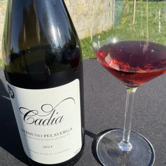 Verduno Pelaverga: the red wine that’s a sure hit—even in summer temperatures!