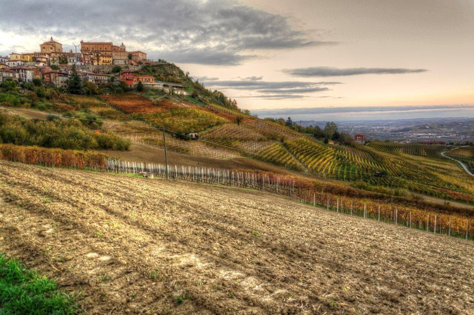 Barolo :  12 hectaren verlies in 2018!