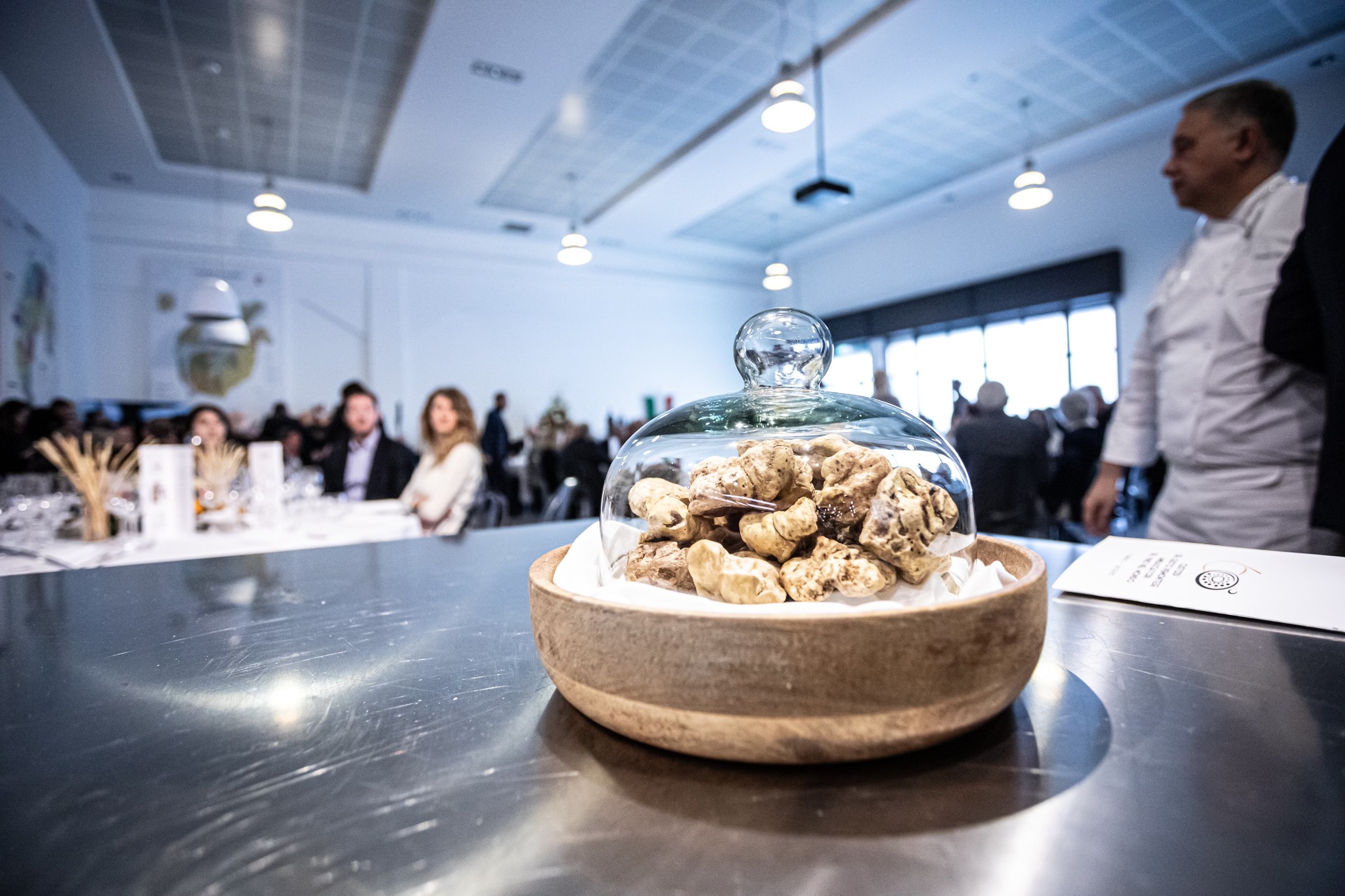 La truffe blanche dans le Piémont : les endroits que nous avons testés et où l