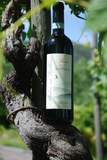The WOW  effect from Podere ai Valloni