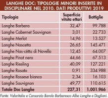 The evolution of DOC wines in Langhe