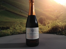 Malvasia Moscata:  a Spumante wine higher esteemed by wine lovers compared to Champagne