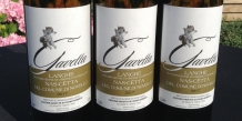 Nas-C&euml;tta: the forgotten grape of Novello which turned into a successtory