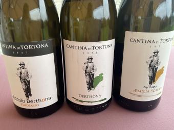 Timorasso de witte feniks van Piemonte! 