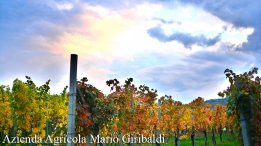 Giribaldi