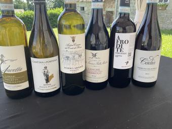 images/productimages/small/autoctonowines.jpg