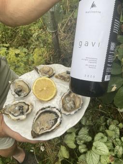 Gavi Promotiepakket - 5 bestellen + 1 gratis in je pakket
