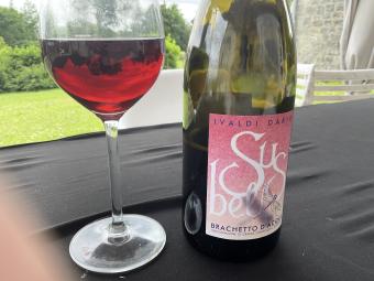 Ivaldi Dario - Brachetto d'Acqui DOCG - 2023