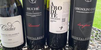 Piemonte Lokale Druivenrassen -  4 verrassende wijnen