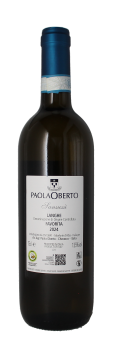 Paola Oberto - Langhe Favorita - Sanussi' - 2024