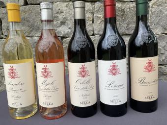 Tenute Sella 1671 - Overzicht degustatiepakket