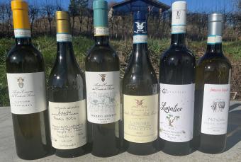 Vin blanc issu de cépages piémontais locaux