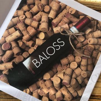 Cantina Fontechiara - Colline Novarese DOC Nebbiolo 