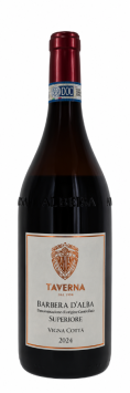 Taverna - Barbera d'Alba Superiore - Vigna Cotta - 2024